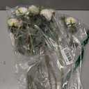 XONOR Artificial Rose Flowers, White, 10Pcs