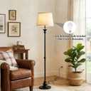 Black Floor Lamps for Living Room, Vintage Floor Lamp with LED Bulb, 3 Color Temperatures Metal Standing Lamp with Pull Chain Switch, Industrial Tall Lamp for Bedroom, Modern Stand Up Lamp for Office