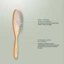 Since 1869 Hand Made In Germany - SHASH Oval Pet Brush With Short Metal Pins With Rubber Cushion - Helps Detangle Knots, Eliminate Frizz, Reduce Pulling & Snagging