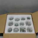 RUCKAE Small Clear Bud Vases Bulk 12 Pack Mini Flower Glass Vases for Centerpiece Table Wedding Decorations Home Decor Party(Transparent)