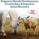 Manna Pro Calf-Manna, Multi-Species Performance Supplement for Livestock, Poultry, Cattle, Goats, Rabbits, Swine, Horses & Deer, High-Protein Animal Feed Additive for Growth, Weight Gain, 10 lb Bag