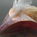 Pop N Fun Bluey Pop-Up Tent, Multicolor Easy Storage Pop Up Play Tent with Roll-Up Door & Peep Window, Indoor/Outdoor Toddler Playhouse for Ages 2+