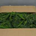 PABREY Artificial Norfolk Pine Garlands, 2 Pcs 6 Ft Real Touch Garlands, Winter Green Greenery Christmas Garlands for Mantle, Table, Wall, Outdoor, Indoor Christmas Decorations (6 FT, 2)