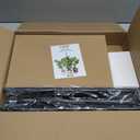 LBW Grow Light for Indoor Plants, Dual Heads Full Spectrum LED, Auto On/Off Timer, 6 Dimmable Levels, 3 Switch Modes, Adjustable Tripod Stand 15-63 inches