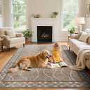 5x7 Area Rugs for Living Room, Machine Washable Rugs, Non-Slip Backing Low Pile Indoor Floor Rugs, Large Modern Carpet for Bedroom Entryway Classroom Playroom Dining Room Home Decor, Brown