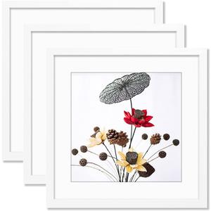 THREELOVE 14"x14" Frame White, Display Picture 10"x10" with mat or 14"x14" without mat, Photo Poster Picture Frame Wall Mounting Home Decor, 3 PCS