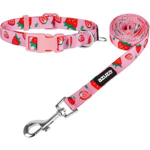 azuza Dog Collar and Leash Set, Collar Nylon and Matching Leash for Small Dogs, Strawberry
