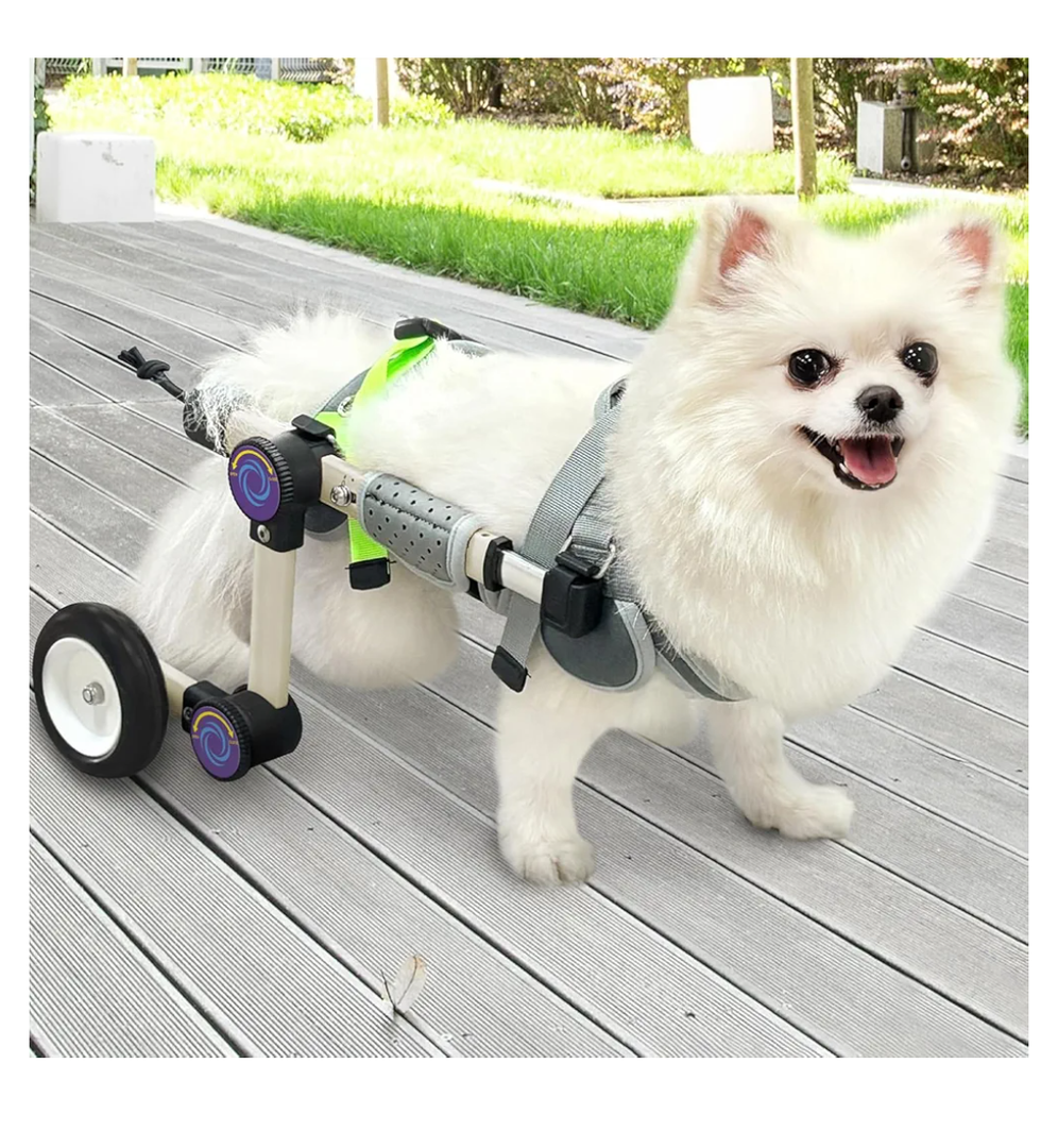 Adjustable Dog Wheelchair for Back Legs Mobility Support Lightweight Pet Wheelchair for Disabled Hind Legs Walking Stable Dog Cart for Pets, Pink (Small)