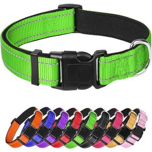Green Dog Collar, Reflective Pet Collar with Buckle Adjustable Safety Nylon Collars for Small Medium Large Dogs XS