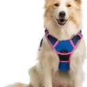 rabbitgoo Dog Harness No Pull with 2 Leash Clips, Adjustable Soft Padded, Reflective Oxford No Choke Pet Vest with Easy Control Handle for Large Dogs, Blue & Hot Pink, M