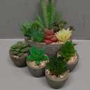 Succulents Plants Artificial Set of 5, Realistic Fake Succulents with Cement Like Pots for Home Office Decoration