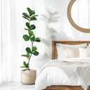 GarveeHome Artificial Fiddle Leaf Fig Tree - 5 ft Fake Plant with Black Nursery Planter, Large Fake Tree for Home or Office Decor - Artificial Plants Indoor Outdoor, Housewarming Gift