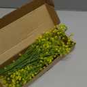 N&T NIETING Babys Breath Artificial Flowers Bulk, 10Pcs Fake Gypsophila Bouquet Flowers Real Touch Faux Babies Breath Arrangement for Wedding Floral Party Home Centerpieces Vase Decoration, Yellow