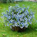 Sggvecsy Artificial Flowers for Outdoors 12 Bundles Realistic Faux Plants UV Resistant Fake Silk Daisy with Eucalyptus for Boxwood Planter Patio Porch Outside Spring Summer Decoration(Blue)