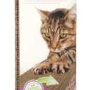 SmartyKat Super Scratcher With Catnip, 1 ct 