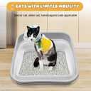 Senior Cat Litter Box, Three Legged Arthritic Open Low Entry for Sick Frail Handicap Disabled Cats, Older Elderly Corner