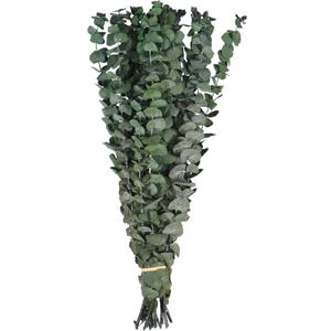 Dried Eucalyptus for Shower Bundle,16.5" Hanging Eucalyptus Lavender Bouquet,100% Real Eucalyptus Leaves Branches for Vase Filler, DIY Artificial Plant,Dried Flowers Arrangement Home Decor (Style 1)