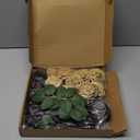 D-Seven Artificial Flowers 25pcs Gold and Black Rose with Stems for Wedding DIY Bouquets Flower Centerpieces Arrangement Birthday Party or Home Decor