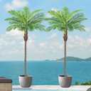 10ft Tall Artificial Phoenix Palm Tree for Outdoor Indoor Decor, Large Faux Coconut Silk Palm Tree Tropical Fake Tree Perfect for Outside Patio Poolside Home Office Decor (Set of 2)