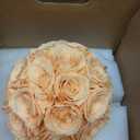 Preserved Roses Dome in a Box, Forever Real Roses Decor, Eternal Flowers for Delivery Prime, Best Gifts Birthday, Wedding, Anniversary, Mother's Day, Christmas for Her, 18-Pieces (Champagne)