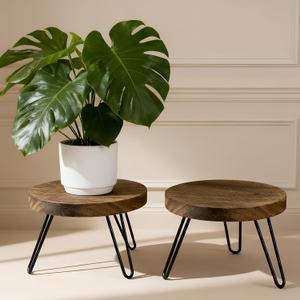 ROSSNY Small Indoor Plant Stand Stool: Fits for Under 10" Wide Pot - Wooden Plant Stool - Single Tier Short Round Plant Stool - Mid-century Modern Style for Indoor Outdoor Home Garden Dcor, Dark Brown, 2 Pack (Without Pot)