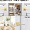 goldenwarm Gold Dummy Door Handles, No-Turning Brushed Brass Door Dummy Levers, Brushed Gold Dummy Handle2 Pack