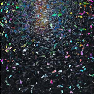 rabbitgoo Window Privacy Film Rainbow Film Decorative Window Sticker, 3D Static Stained Glass Cling Tint for Room Darkening Day Sleep, Black, 17.5 x 78.7 inches