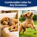 2 x Kazazoo Reflective Dog Collar with Soft Padding Dog Collar for Medium & Small Dogs, No Pull, Heavy Duty, Adjustable Nylon Collar with Quick-Release Buckle, Walking Training-Grey-S