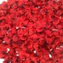 CODE FLORIST 1500 PCS Dark-Red Silk Rose Petals for Valentine's Day,Romantic Night,Wedding,Proposal Anniversary Flower Decorations(Separated,Scented)
