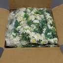 8 Pack Artificial Daisy Flowers Vine, 54.8 Ft Silky Artificial Garland with White Daisy and Vine Floral Garlands Decoration for Room Wall, Flower Themed Party, Wedding Supplies