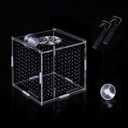 AWXZOM Acrylic Fish breeding Box, Acrylic Fish Isolation Box, Fish Separator for Aquarium, Hatchery Incubator with Suction Cups for Small Baby Fishes Shrimp Clownfish Guppy (3.9 * 3.9 * 3.9inch)