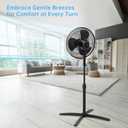 Emerson 16-inch Oscillating Pedestal Fan with Precision 3-Speed Wind Control and Adjustable Tilt and Height, Black, FAO1605-B