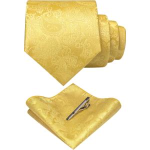 JEMYGINS Men's Light Yellow Paisley Necktie and Pocket Square with Tie Clip Sets (48)