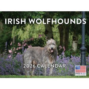 Irish Wolfhound Calendar 2026 Monthly Wall Calender 12 Month | American Made In The USA