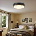 Flush Mount Ceiling Light Fixture, Black Gold LED Ceiling Light, 13 Inch 22W Dimmable Modern Flush Mount Lights for Hallway, Bedroom, Kitchen