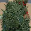 Waipfaru 2 Pcs Christmas Decorations, 5.9FT Christmas Garland with Lights, Prelit Lighted Christmas Greenery Cedar Garland Cypress for Home Table Mantel Stair Railing Indoor Outdoor Xmas Decor