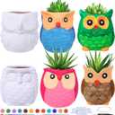 Winlyn 6 Sets DIY Ceramic Owl Succulent Pots Paint Craft Kit, Unpainted Ceramic Bisque Owl Flowerpots with Drainage Hole, Ready to Paint for Kids Classroom Craft Project Activity