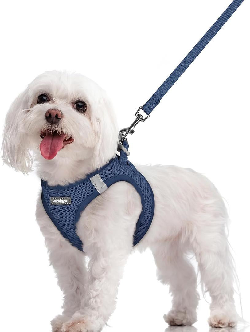 rabbitgoo Dog Harness Small Sized and Leash Set, Step in Soft Light Puppy Vest, Breathable Mesh Pet Harness, Reflective for Safe Outdoor Walking, Navy Blue, M
