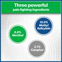 2 x Salonpas Pain Relieving Patch, Large, 6 Count, for Back, Neck, Shoulder, Knee Pain and Muscle Soreness, 8 Hour Pain Relief