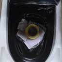 Ivy One Piece Toilet Dual Vortex Flush in Glossy Black 1.1/1.6 gpf