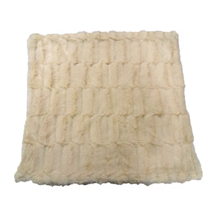 Allen Roth Ivory 2Pack Velvet Pillow Covers With Zipper