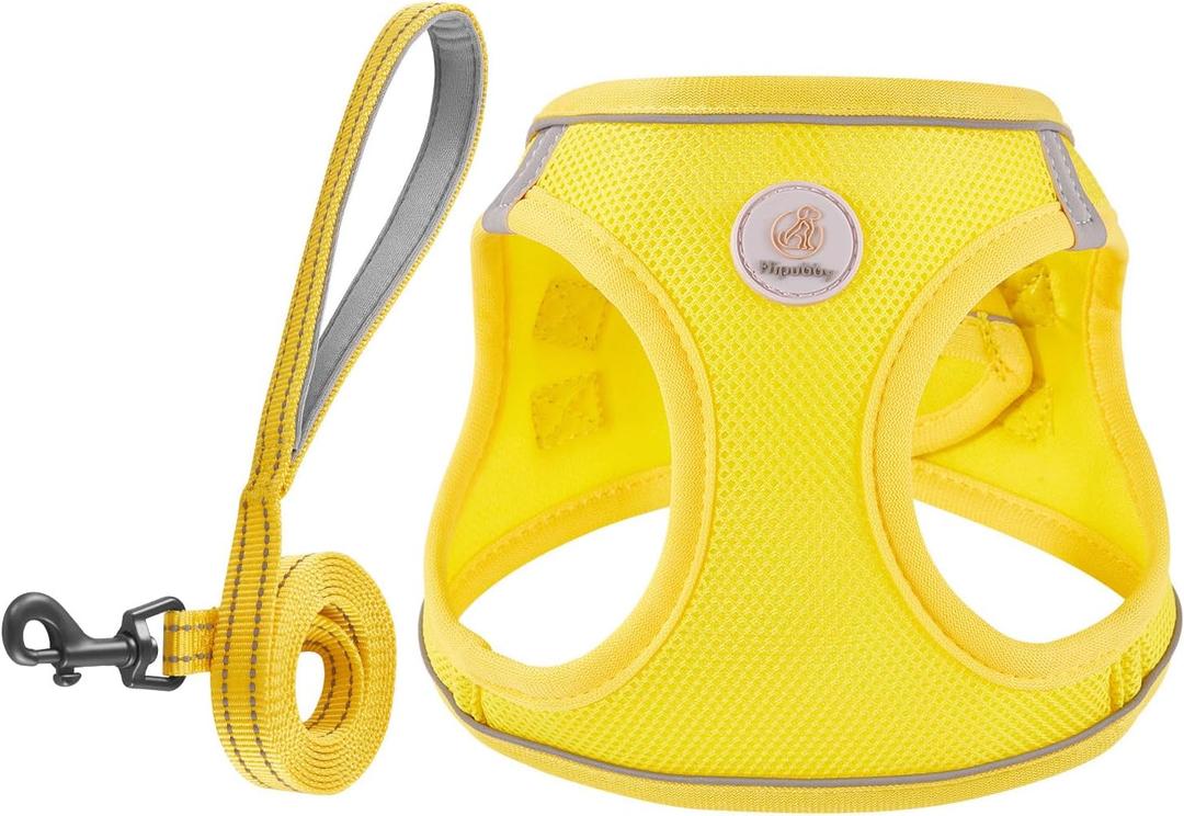 Hipubby Dog Harness and Leash Set, No Pull Soft Mesh Puppy Harness for Small Medium Dogs, Cats - Step in Reflective Breathable Lightweight Vest Harness for Walking, Training - Yellow, XXS (XXS (Chest: 12"-13"))