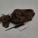 Colonial Style Historical Costume Wig, Men's Curled Judge Ponytail Design (Light Brown)