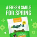 Minties Dental Chews for Dogs, 36 Count, Vet-Recommended Mint-Flavored Treats for Large Dogs Over 50 lbs, Dental Bones Clean Teeth, Fight Bad Breath, and Removes Plaque and Tartar (EXP 04/22/28)