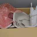 Skip Hop Baby High Chair 4-in-1 Convertible High Chair, EON, Oat