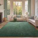 FinRec 6x9 Washable Area Rugs for Bedroom Living Room, Low Pile Thin Rug Solid Color, Non-Slip Carpet Indoor for Home Decor (Green)