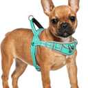 ADVENTUREMORE Small Dog No Pull Harness - Reflective, Escape Proof with Front Clip Handle for Training & Walking - Teal