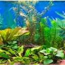 AWERT 36x18 inches Aquarium Background Aquatic Plant River Bed and Lake Fish Tank Background Vinyl, 36x18in/90x45cm