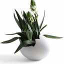 Egg Planter, Flower Pot Vase, House Plant Bowl, Succulent, Cacti, Snake Plant, Chicken Dinosaur Storage Bin, Bird Sculpture, Home Garden Office Decoration, Gift (Laying Egg)