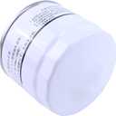 JZGRDN Fuel Filter HH1J1-43172 Compatible with Kubota Tractor